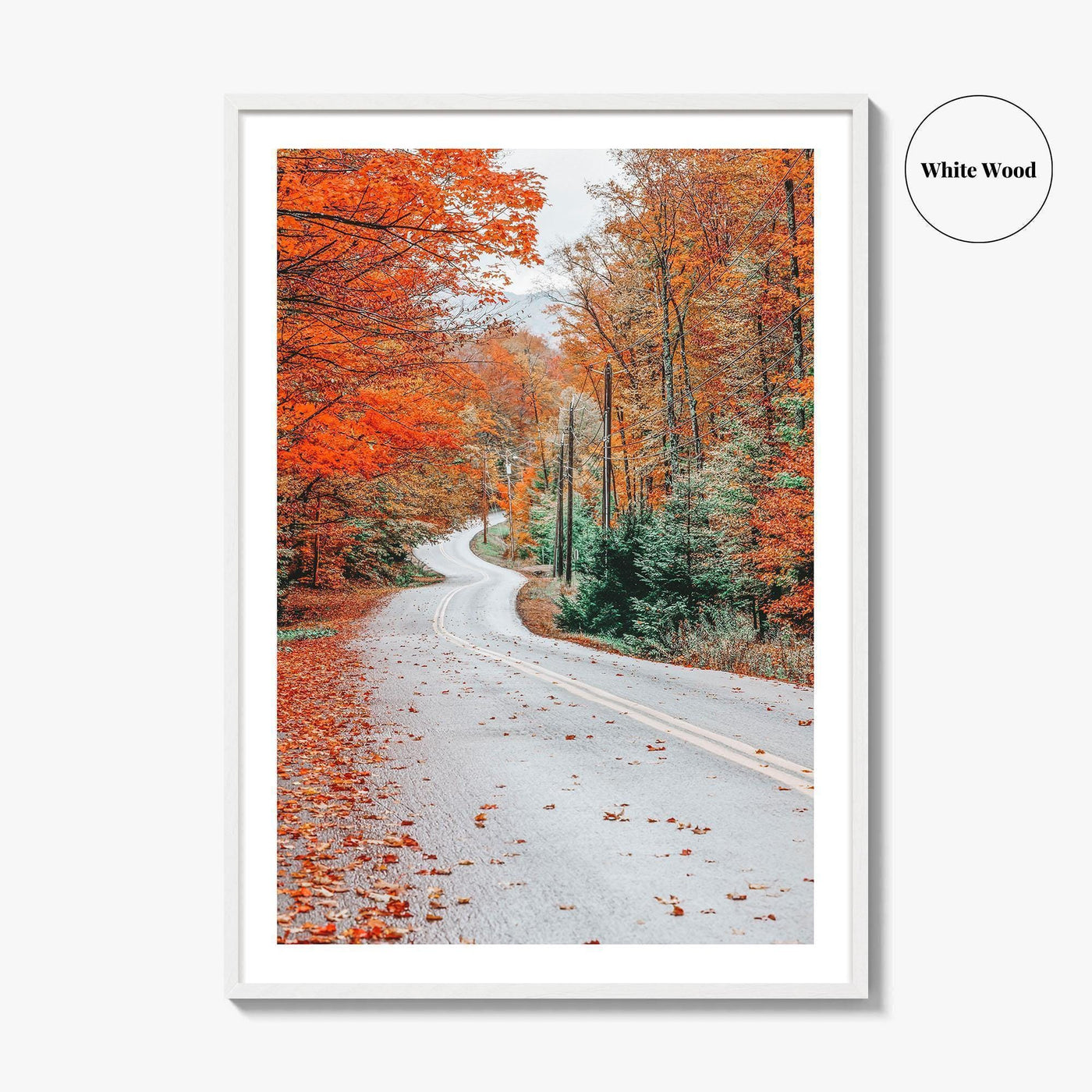 Adirondack Mountains Fall Fine Art Photo Print, Old Forge NY, Hollywood Road, Wall Poster