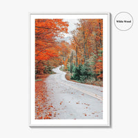 Adirondack Mountains Fall Fine Art Photo Print, Old Forge NY, Hollywood Road, Wall Poster