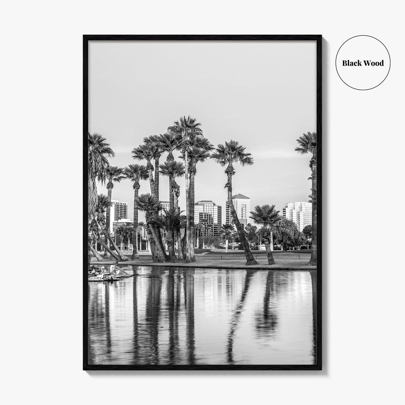 Phoenix Skyline Black and White Fine Art Photo Print, Encanto Park Arizona Poster