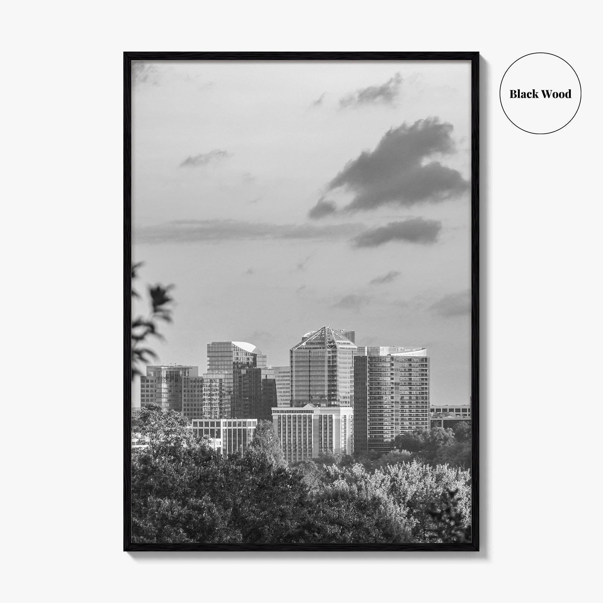 Northern Virginia Black and White Fine Art Photo Print, Washington DC, USA Wall Poster