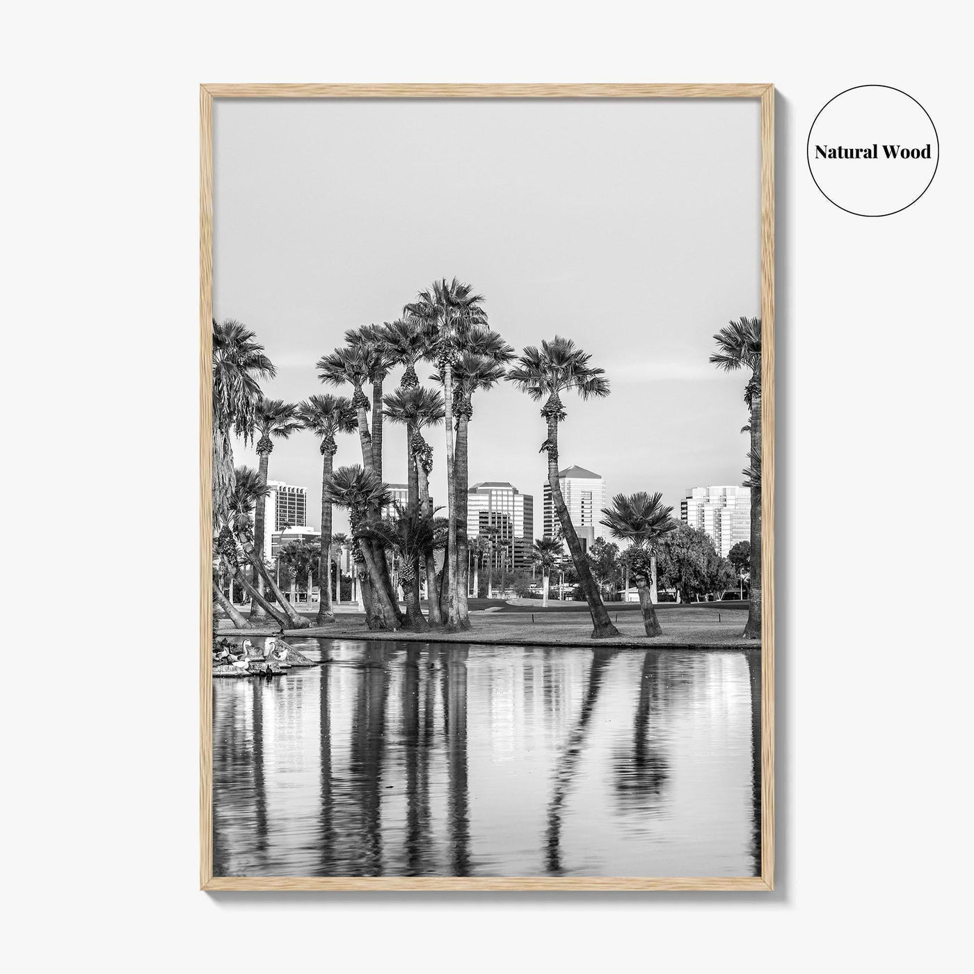 Phoenix Skyline Black and White Fine Art Photo Print, Encanto Park Arizona Poster