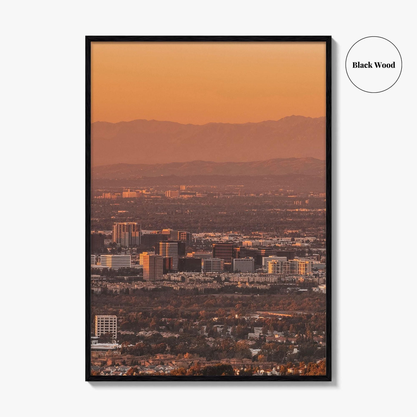 Anaheim Skyline Fine Art Photo Print, Irvine Santa Ana, Orange County California Poster