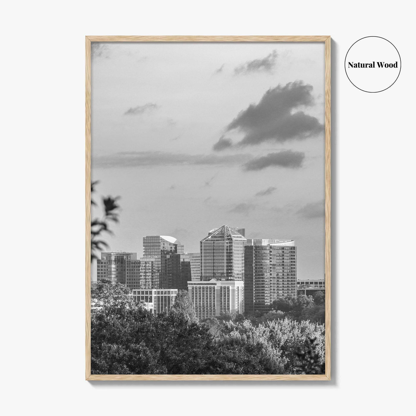 Northern Virginia Black and White Fine Art Photo Print, Washington DC, USA Wall Poster