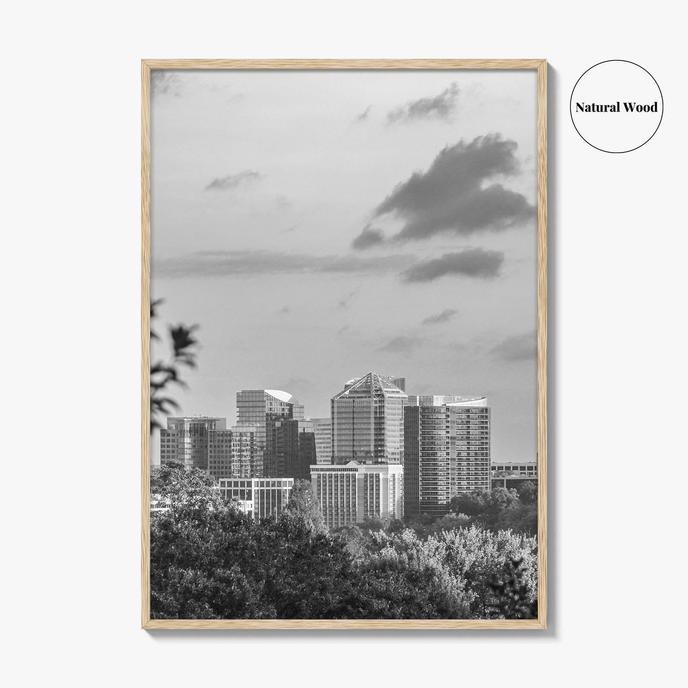 Northern Virginia Black and White Fine Art Photo Print, Washington DC, USA Wall Poster