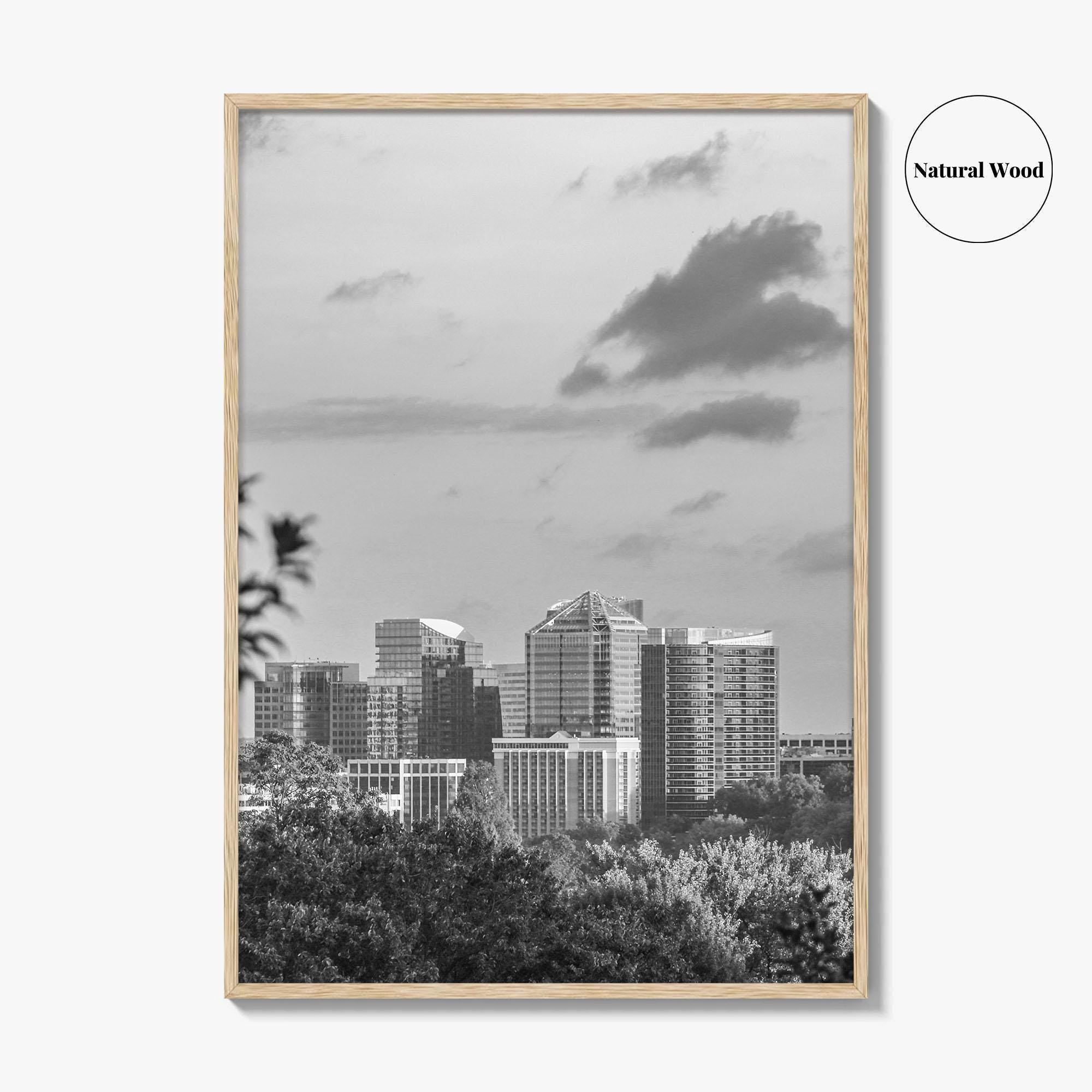Northern Virginia Black and White Fine Art Photo Print, Washington DC, USA Wall Poster