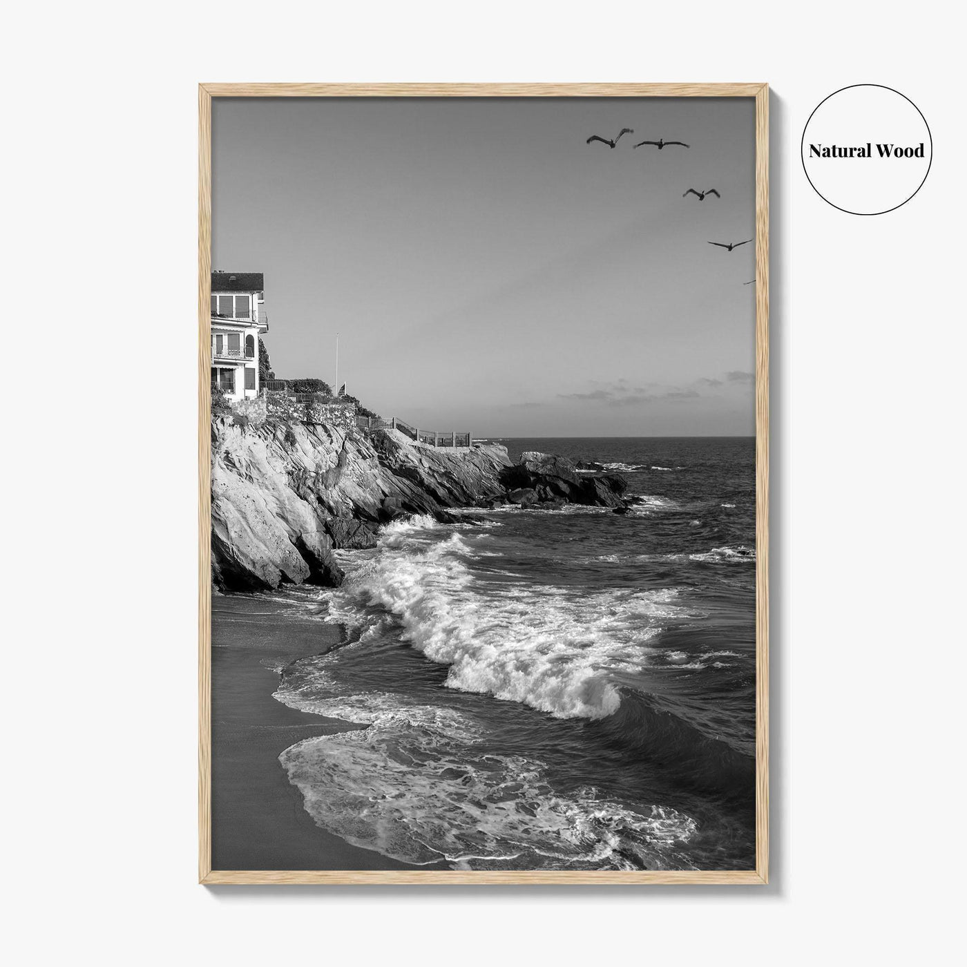 Southern California Black and White Fine Art Photo Print, Coastline Poster