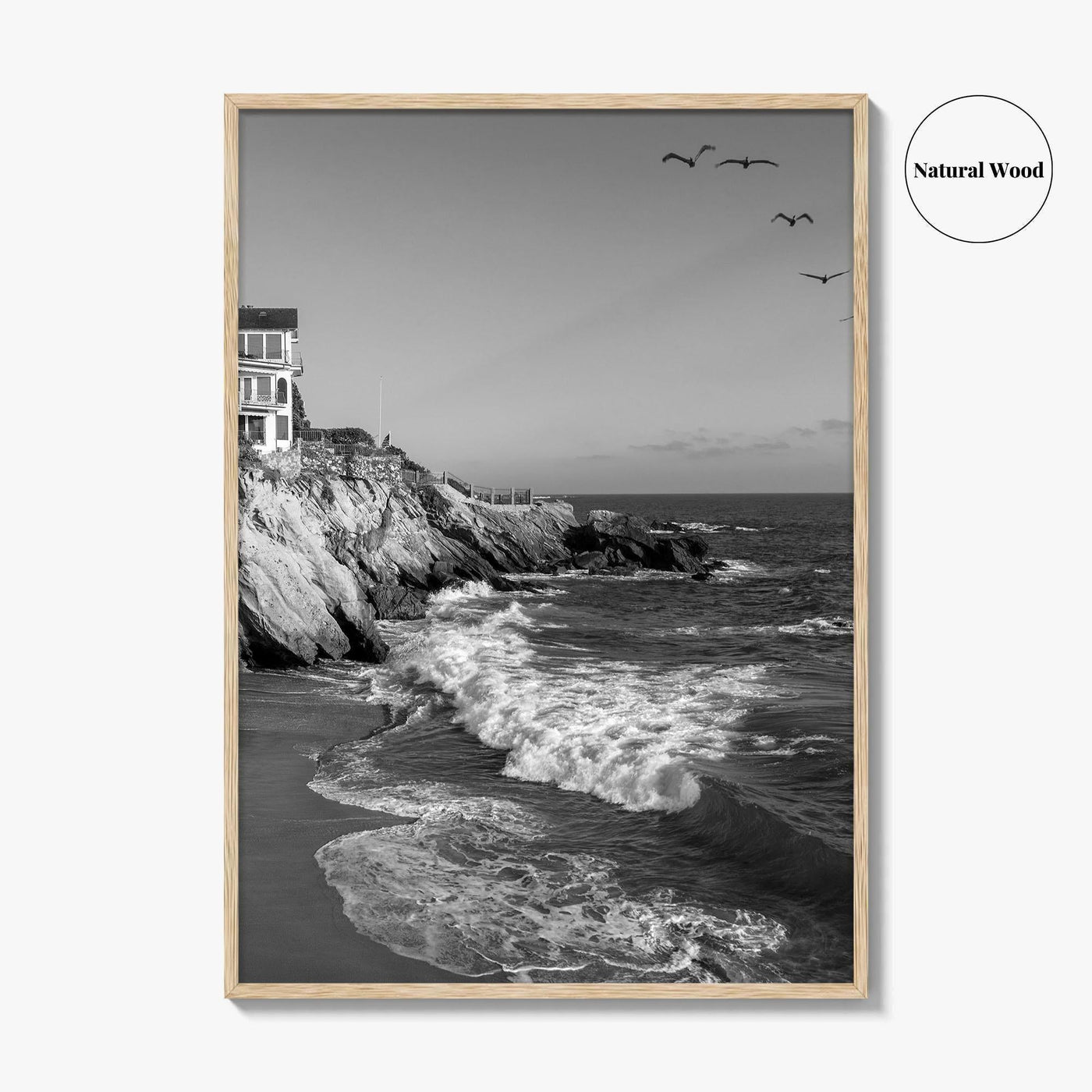 Southern California Black and White Fine Art Photo Print, Coastline Poster