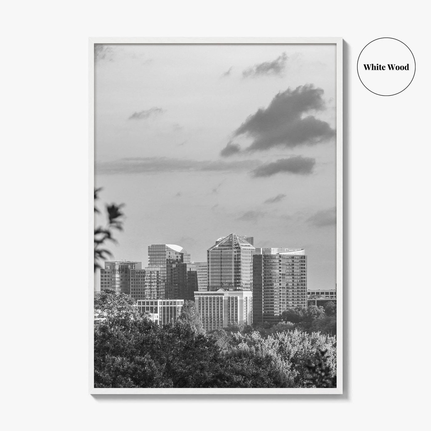 Northern Virginia Black and White Fine Art Photo Print, Washington DC, USA Wall Poster
