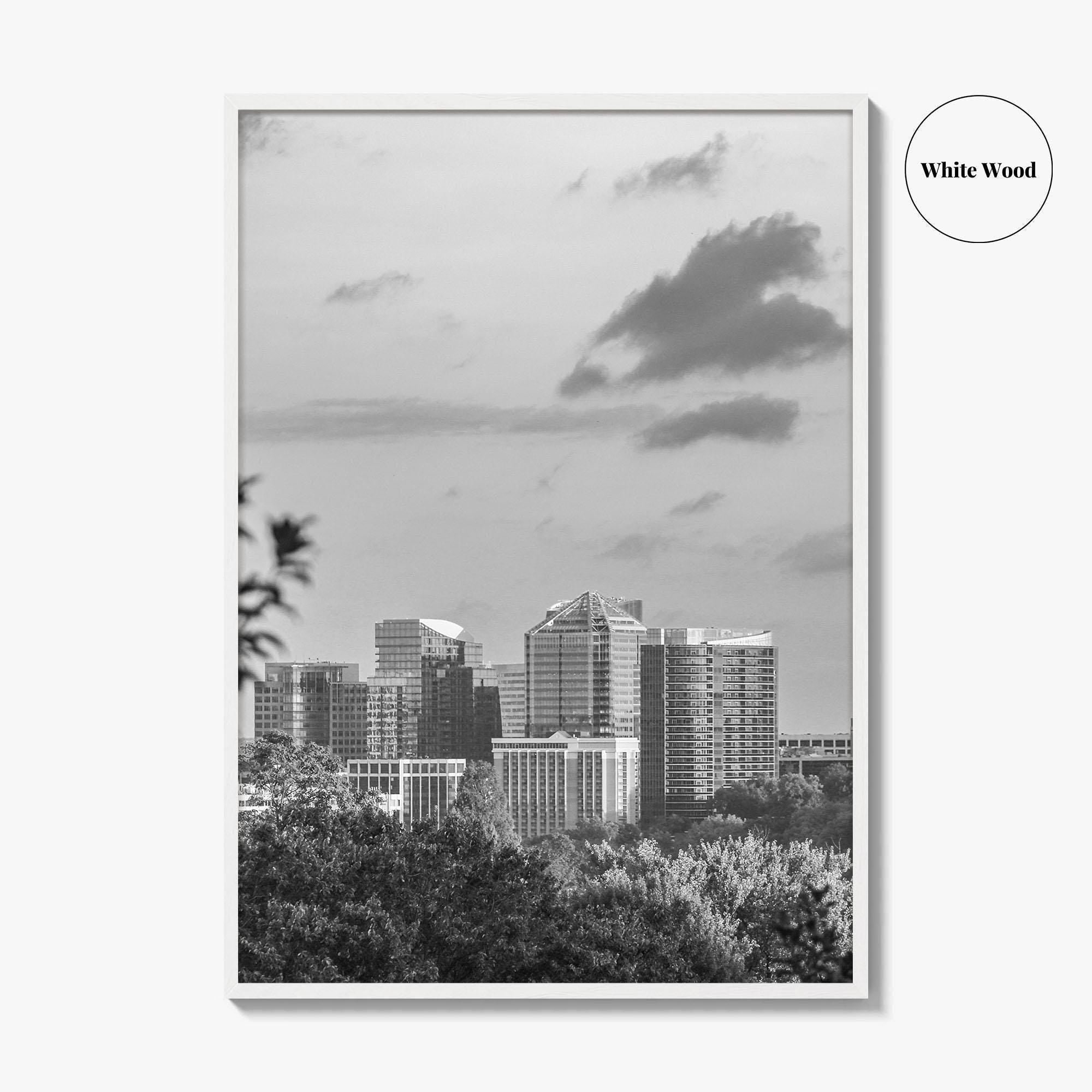 Northern Virginia Black and White Fine Art Photo Print, Washington DC, USA Wall Poster