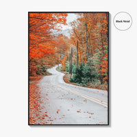 Adirondack Mountains Fall Fine Art Photo Print, Old Forge NY, Hollywood Road, Wall Poster