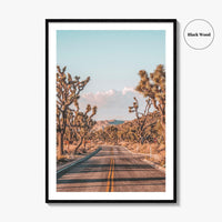 Joshua Tree National Park Fine Art Photo Print, California Desert Wall Art Poster