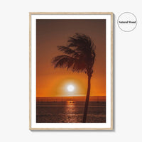 La Paz Fine Art Photo Print, Baja California Sur Poster