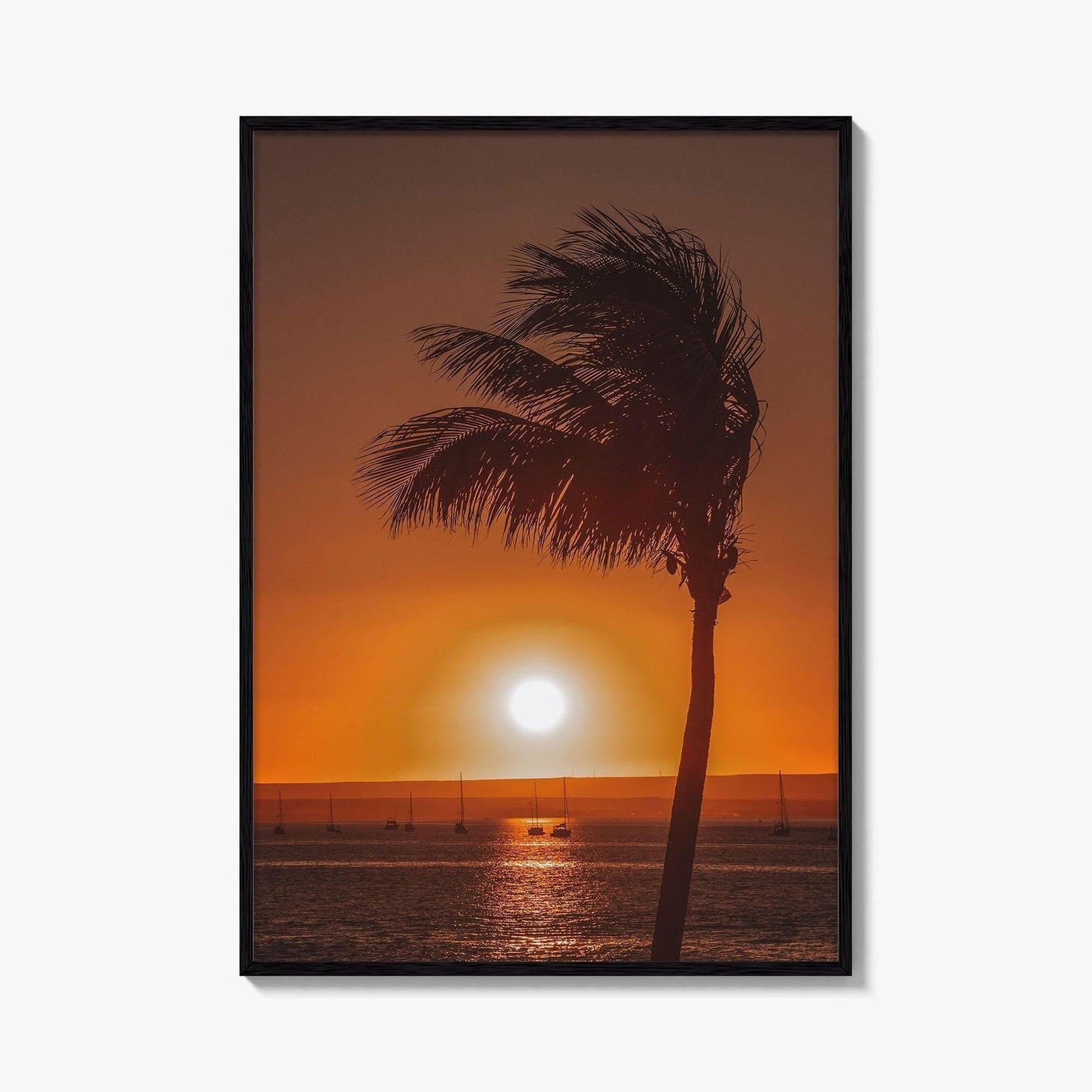 La Paz Fine Art Photo Print, Baja California Sur Poster