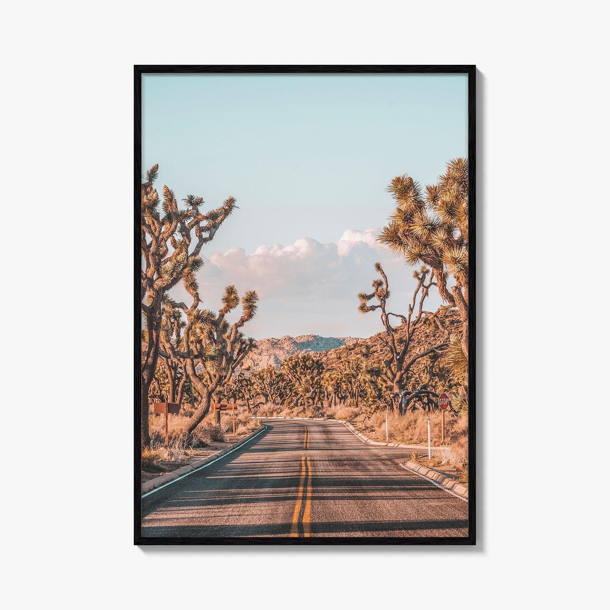 Joshua Tree National Park Fine Art Photo Print, California Desert Wall Art Poster