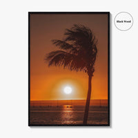 La Paz Fine Art Photo Print, Baja California Sur Poster