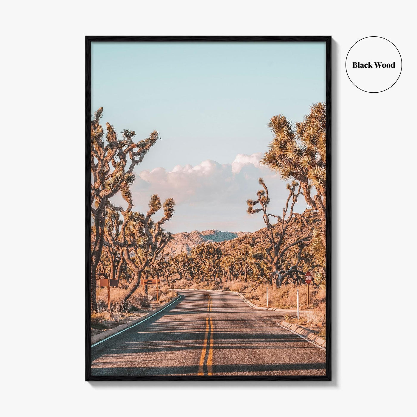 Joshua Tree National Park Fine Art Photo Print, California Desert Wall Art Poster
