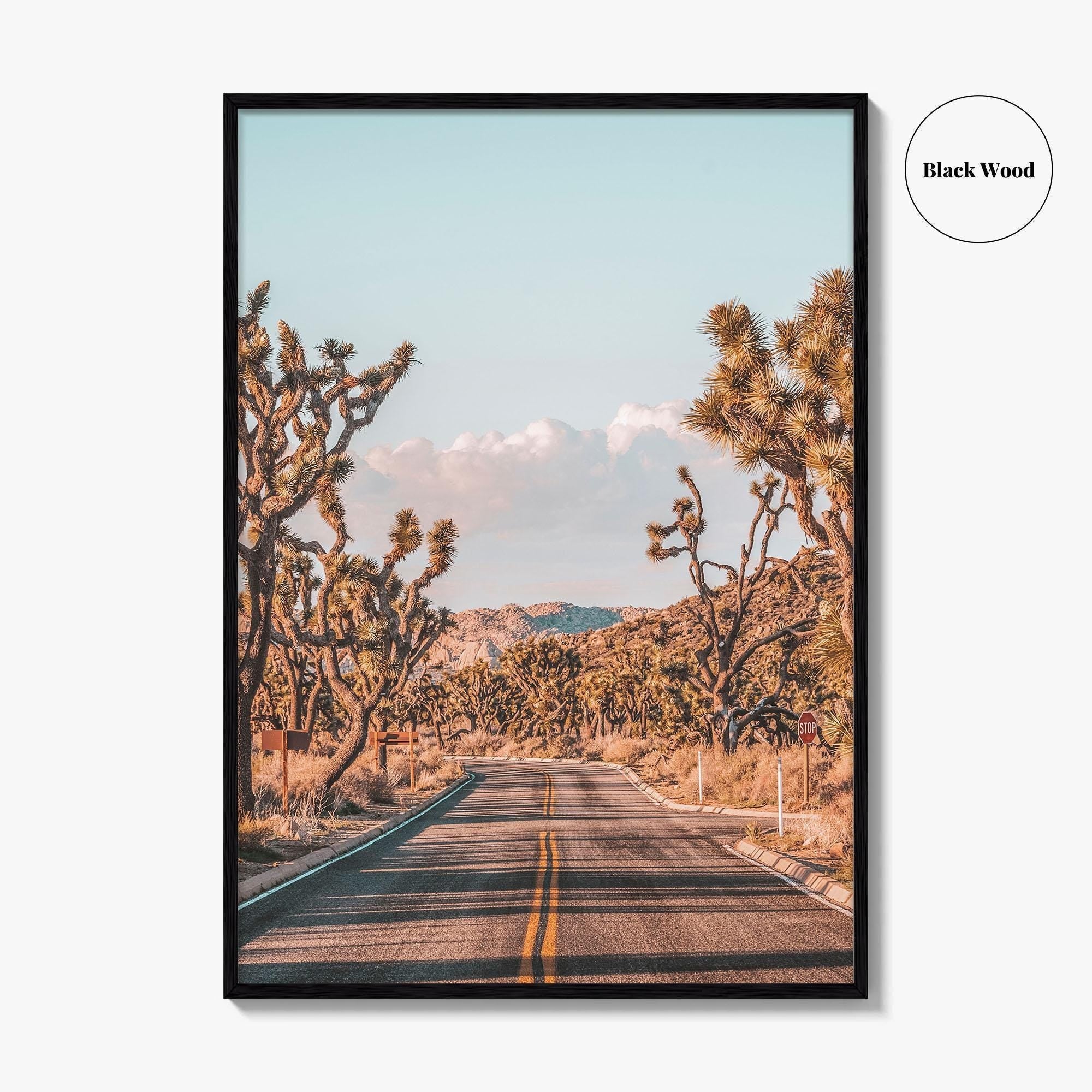 Joshua Tree National Park Fine Art Photo Print, California Desert Wall Art Poster