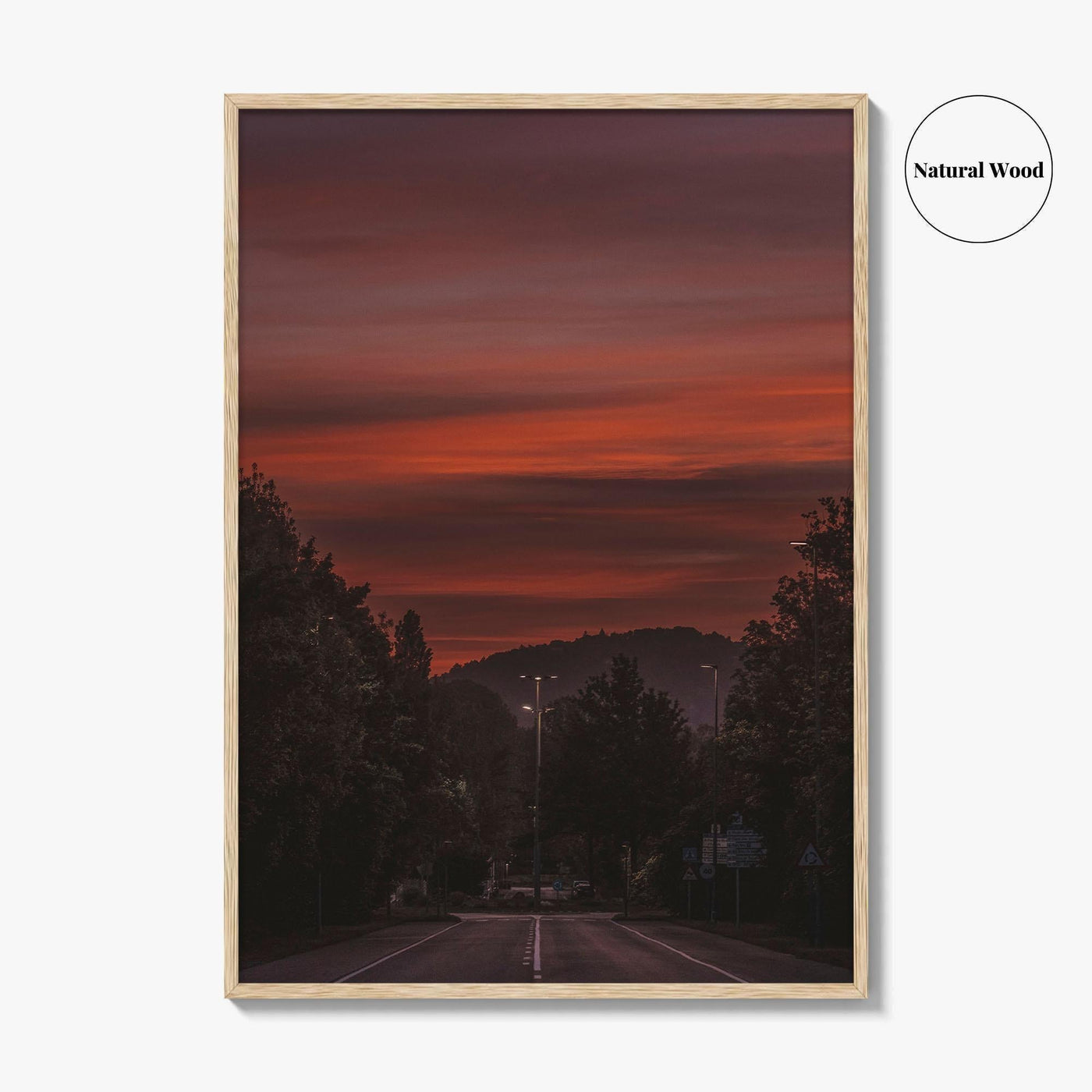 Clemson Fine Art Photo Print, South Carolina Road Wall Art Poster, USA