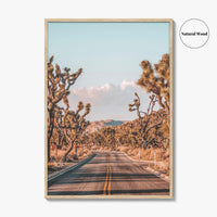 Joshua Tree National Park Fine Art Photo Print, California Desert Wall Art Poster