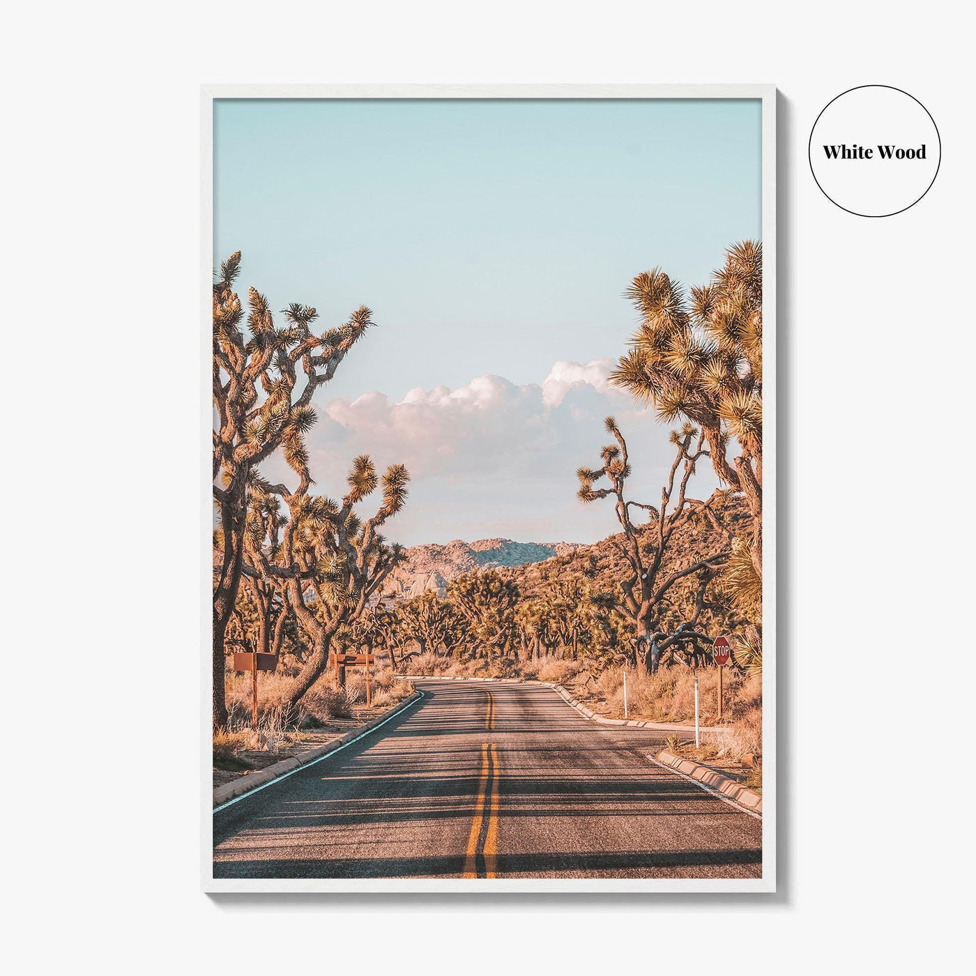 Joshua Tree National Park Fine Art Photo Print, California Desert Wall Art Poster