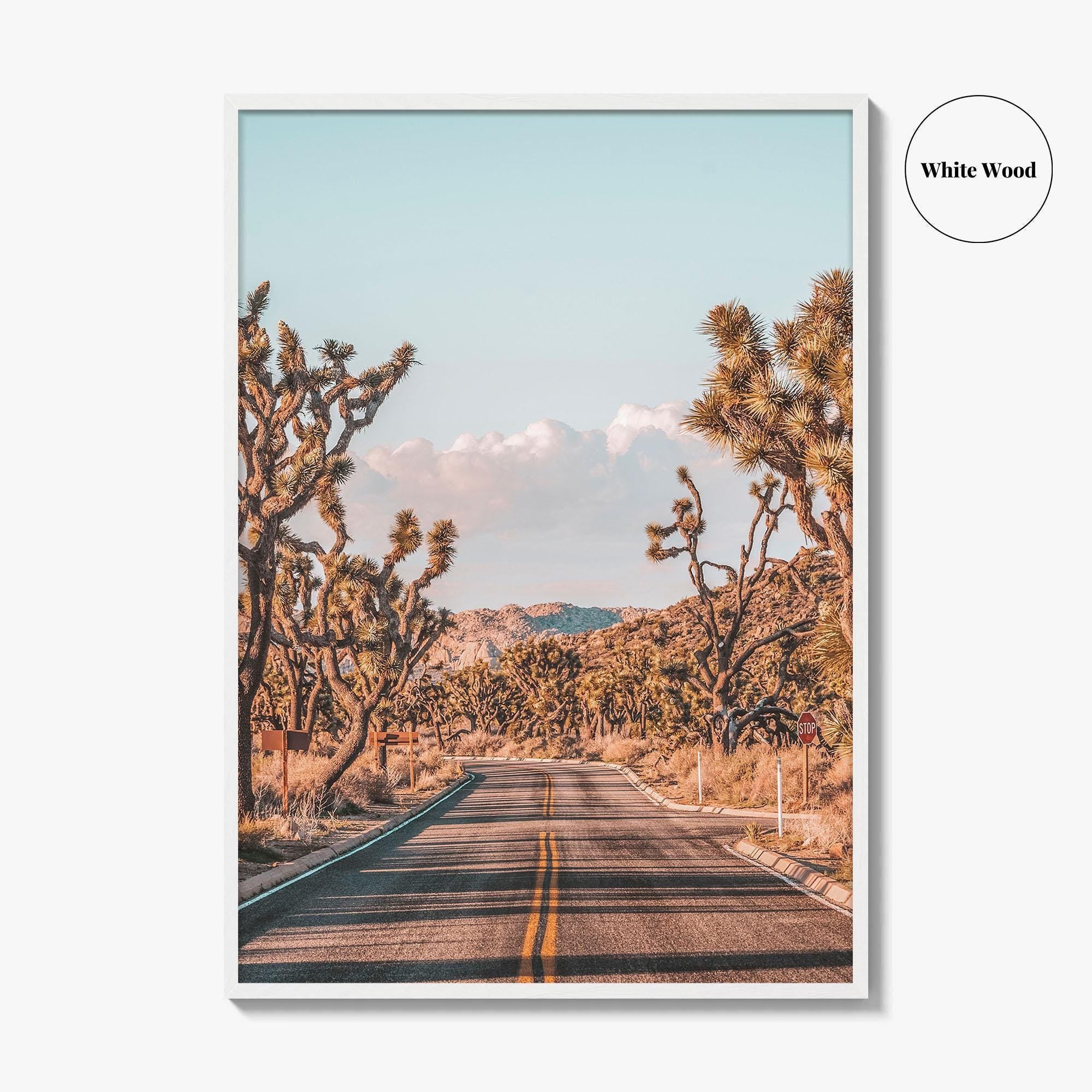 Joshua Tree National Park Fine Art Photo Print, California Desert Wall Art Poster