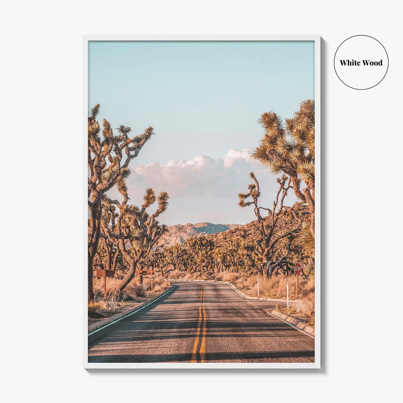 Joshua Tree National Park Fine Art Photo Print, California Desert Wall Art Poster