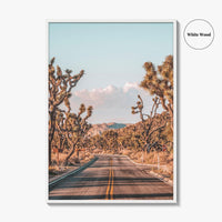 Joshua Tree National Park Fine Art Photo Print, California Desert Wall Art Poster
