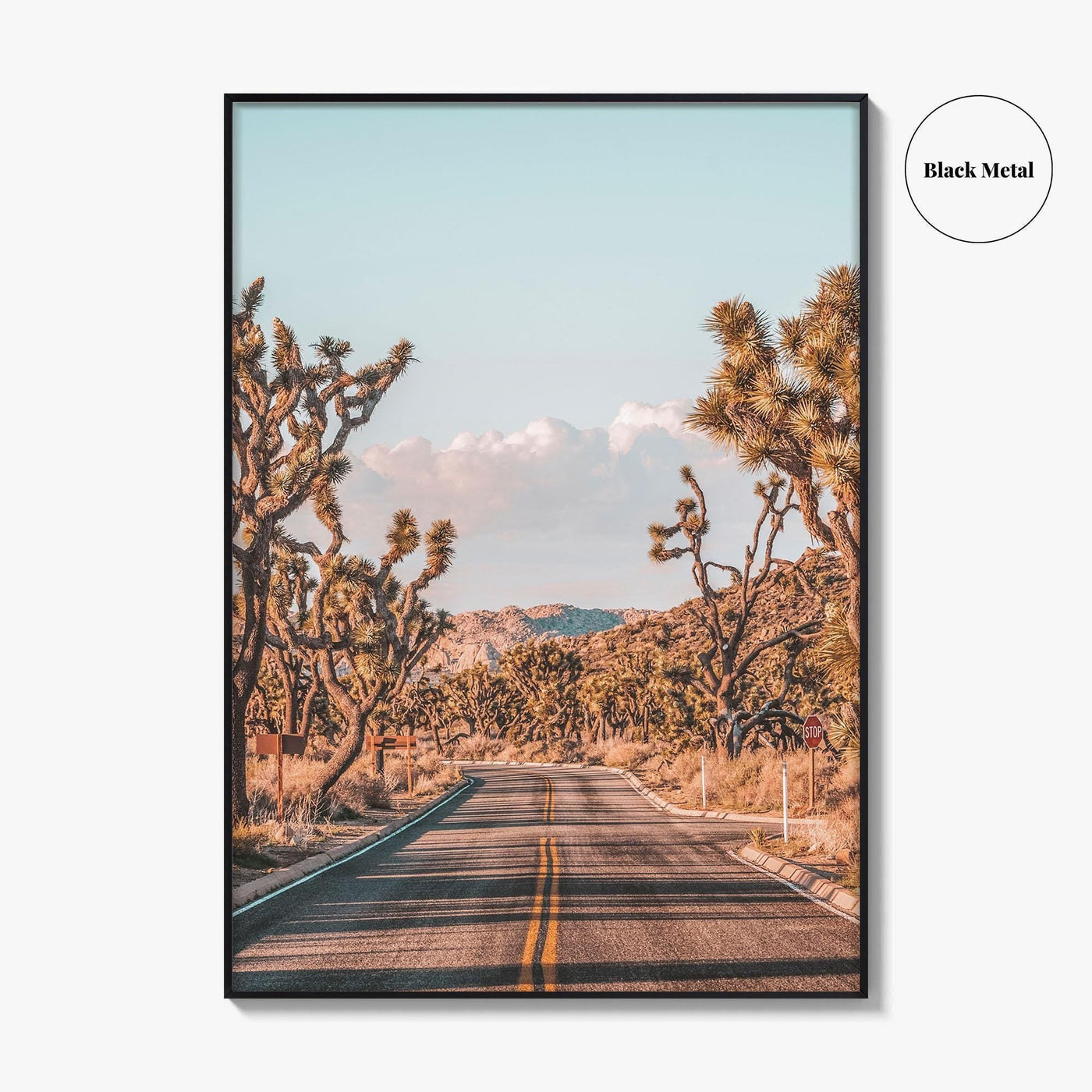 Joshua Tree National Park Fine Art Photo Print, California Desert Wall Art Poster