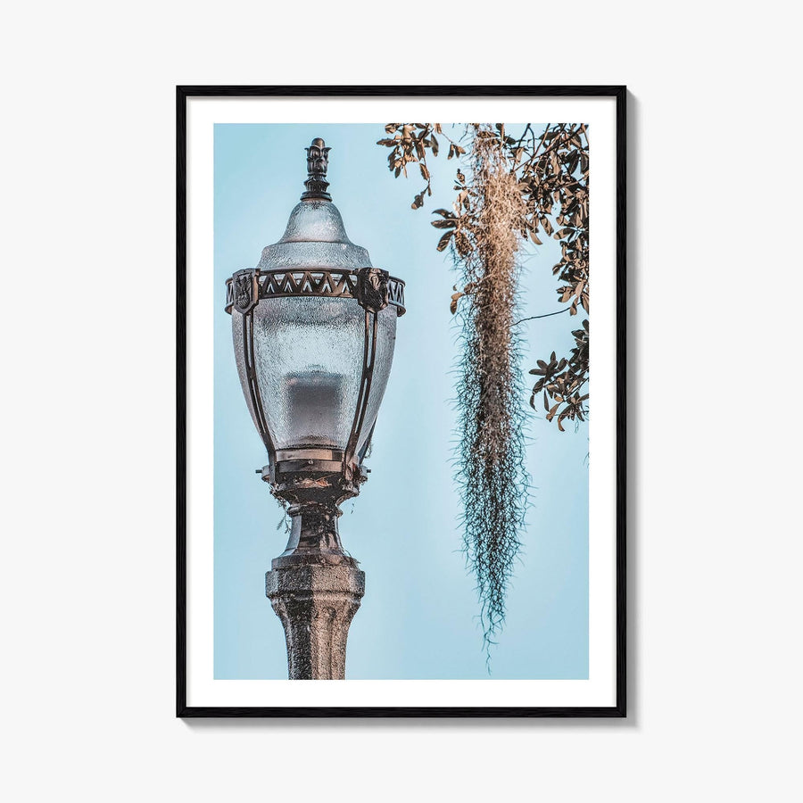 Baton Rouge Fine Art Photo Print, Louisiana, USA, Lantern, Spanish Moss, Wall Art
