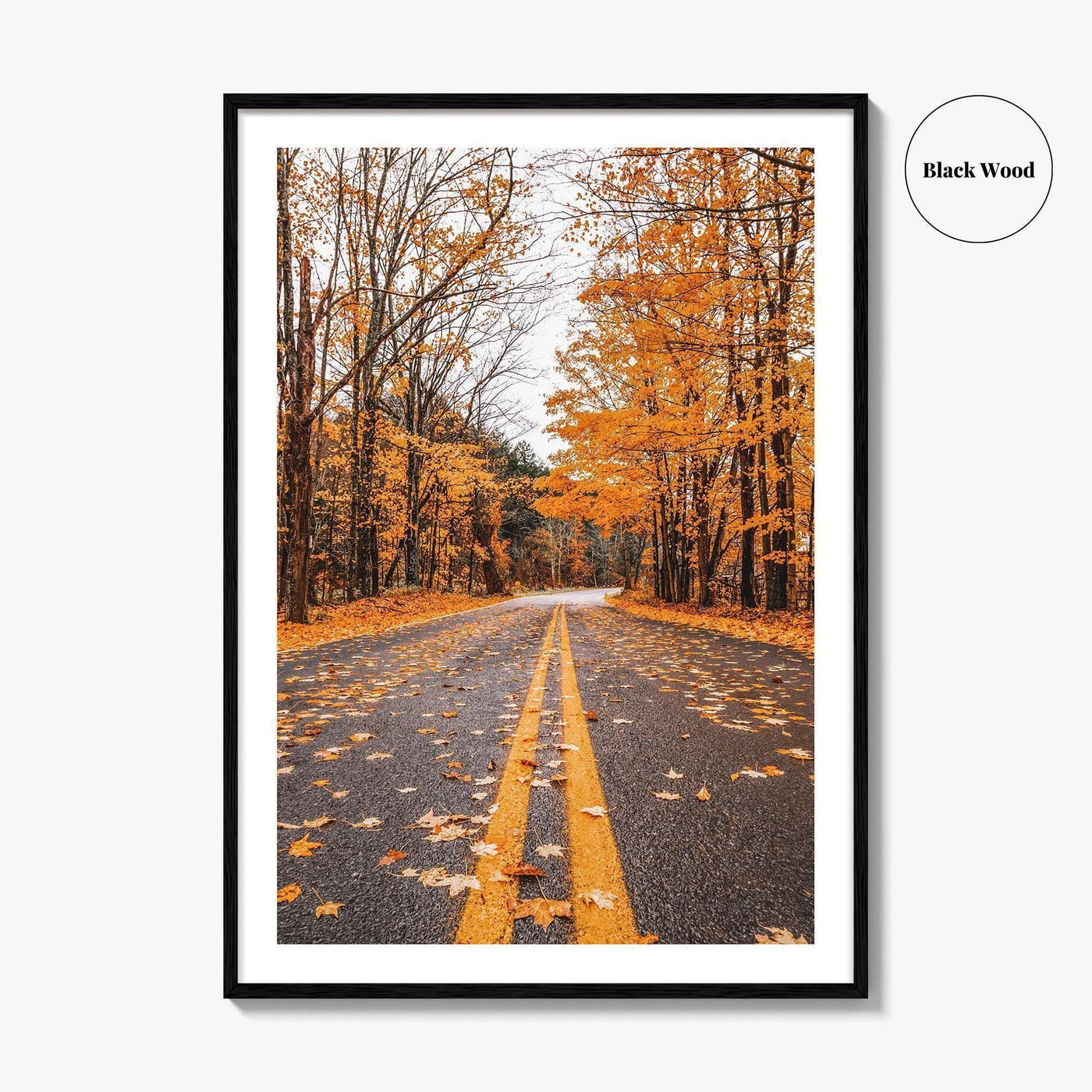 Catskill Mountains Fine Art Photo Print, Catskills, New York, Fall Foliage, Poster
