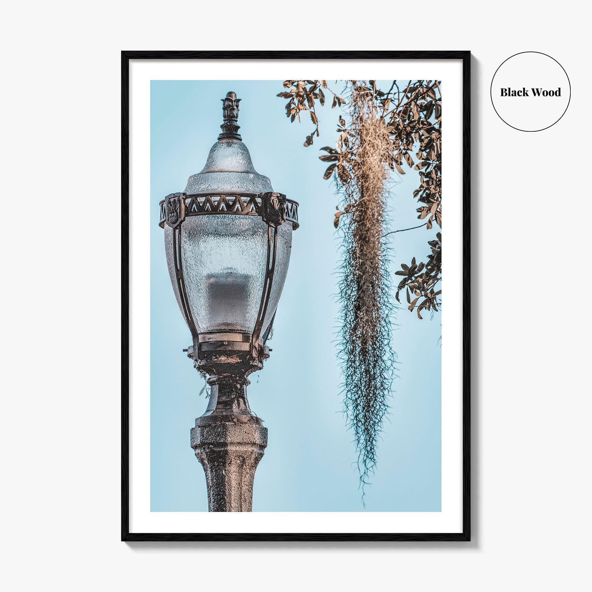 Baton Rouge Fine Art Photo Print, Louisiana, USA, Lantern, Spanish Moss, Wall Art