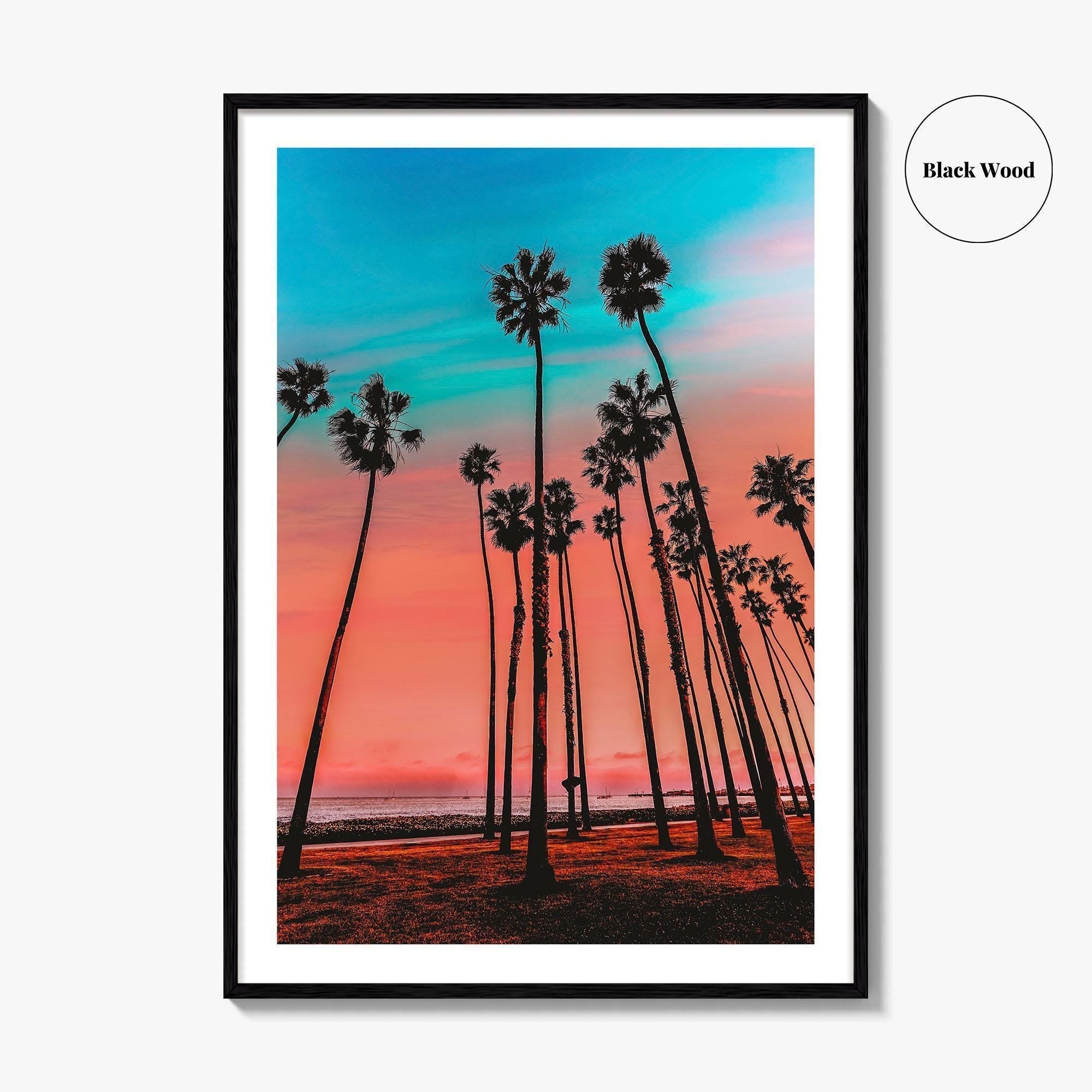 Santa Barbara Fine Art Photo Print, California Wall Decor Poster, USA Palm Trees