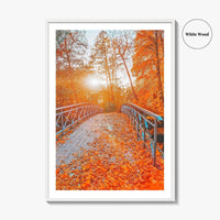 Central Park Fine Art Photo Print, New York, NYC, Bridge, Lake, Fall Foliage