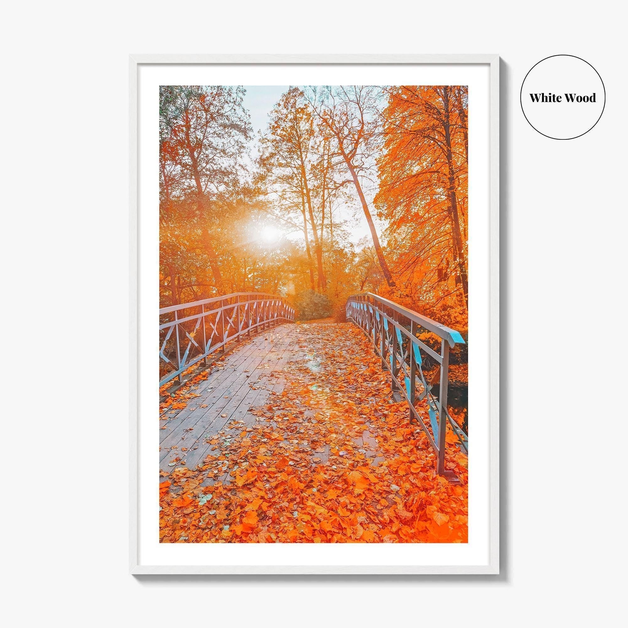 Central Park Fine Art Photo Print, New York, NYC, Bridge, Lake, Fall Foliage