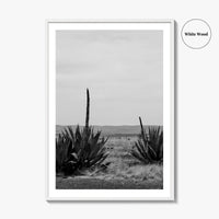 West Texas Black and White Fine Art Photo Print, Agave Chihuahuan Desert Poster