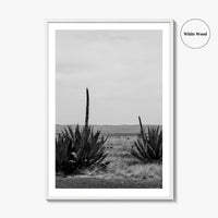 West Texas Black and White Fine Art Photo Print, Agave Chihuahuan Desert Poster