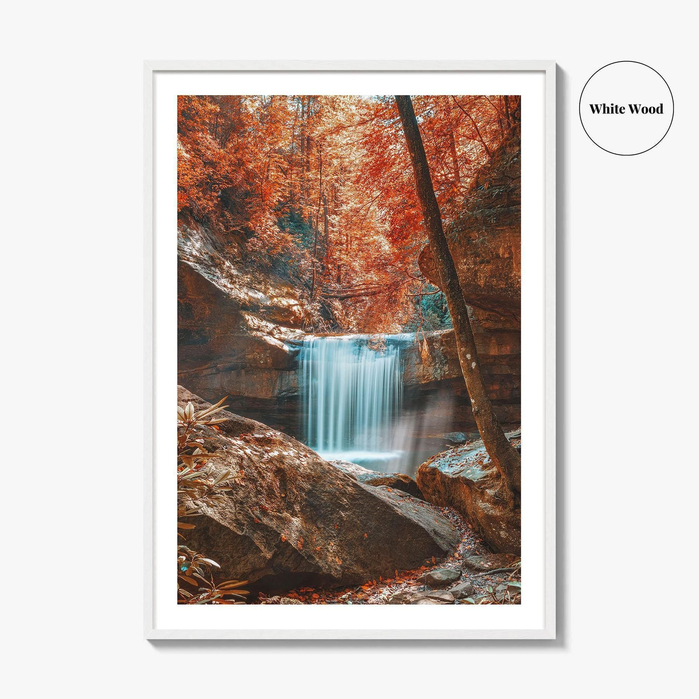Dog Slaughter Falls Fine Art Photo Print, Daniel Boone National Forest, Kentucky, Waterfall Poster