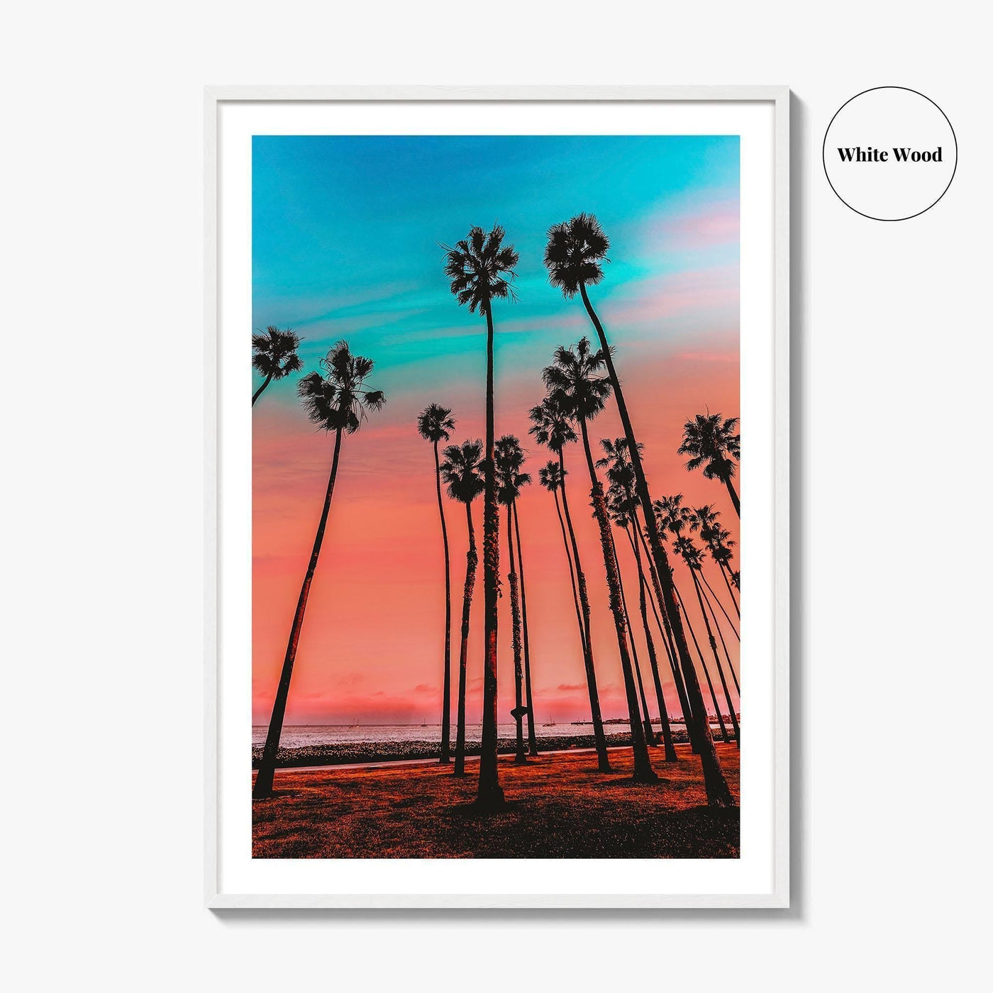 Santa Barbara Fine Art Photo Print, California Wall Decor Poster, USA Palm Trees