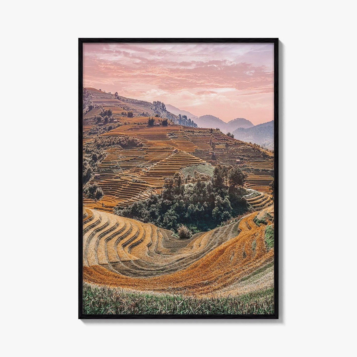 Mu Cang Chai Fine Art Photo Print, Yen Bai Vietnam Rice Terraces Wall Poster