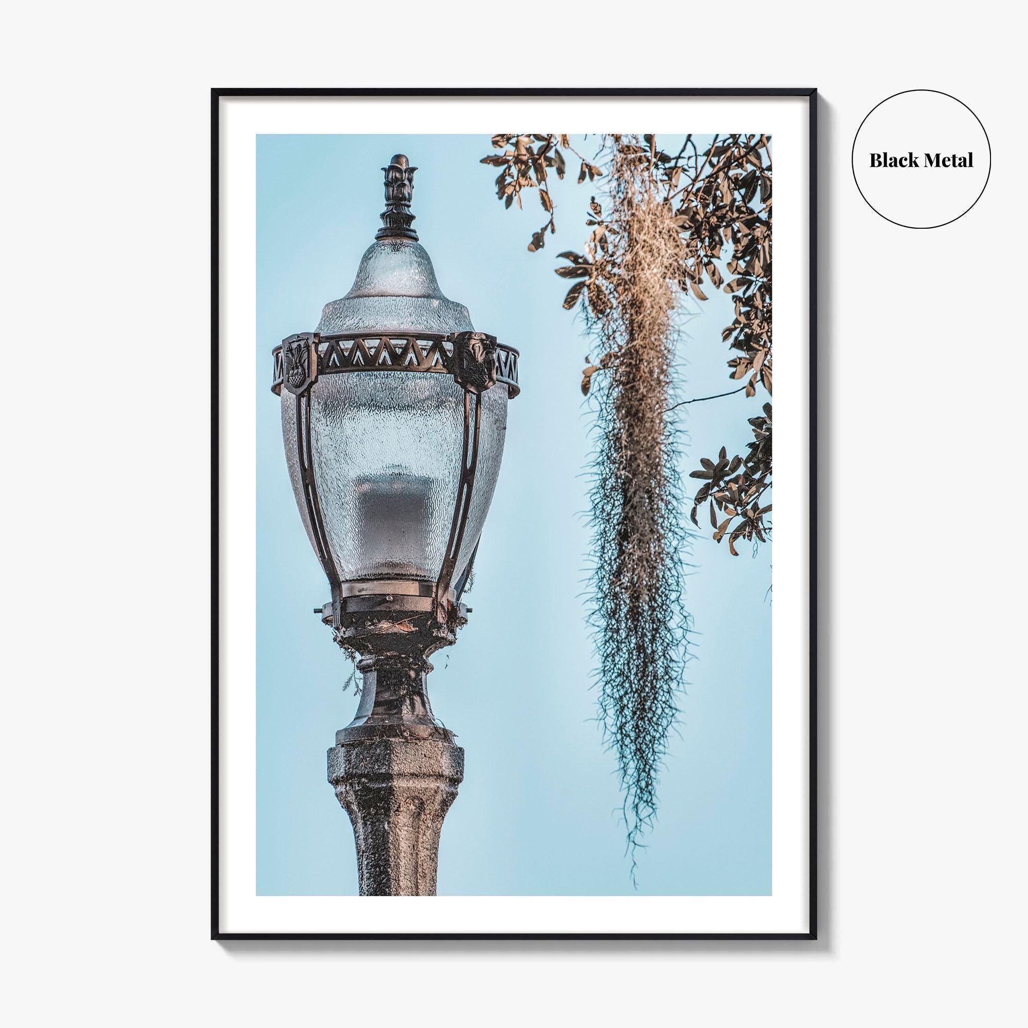 Baton Rouge Fine Art Photo Print, Louisiana, USA, Lantern, Spanish Moss, Wall Art