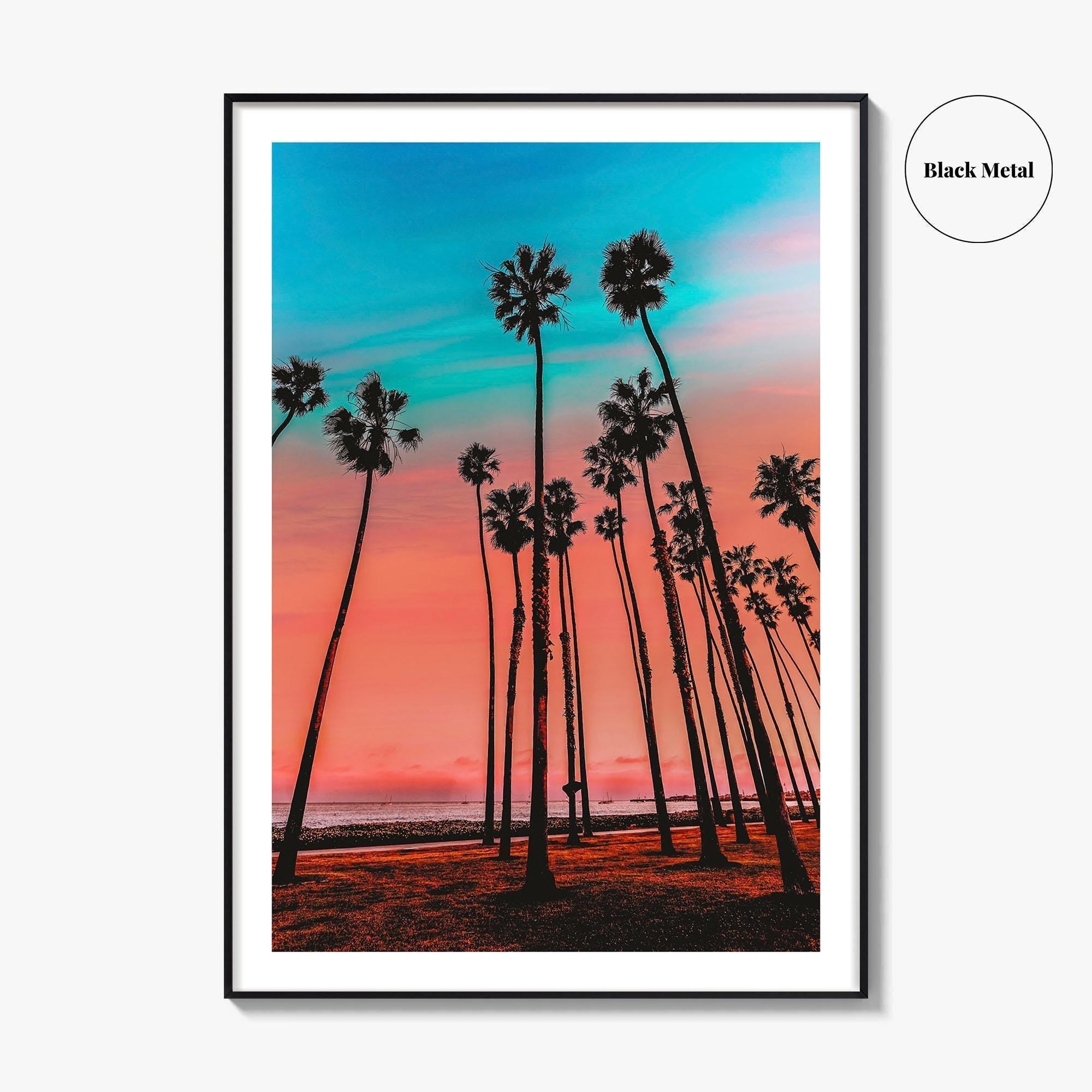 Santa Barbara Fine Art Photo Print, California Wall Decor Poster, USA Palm Trees