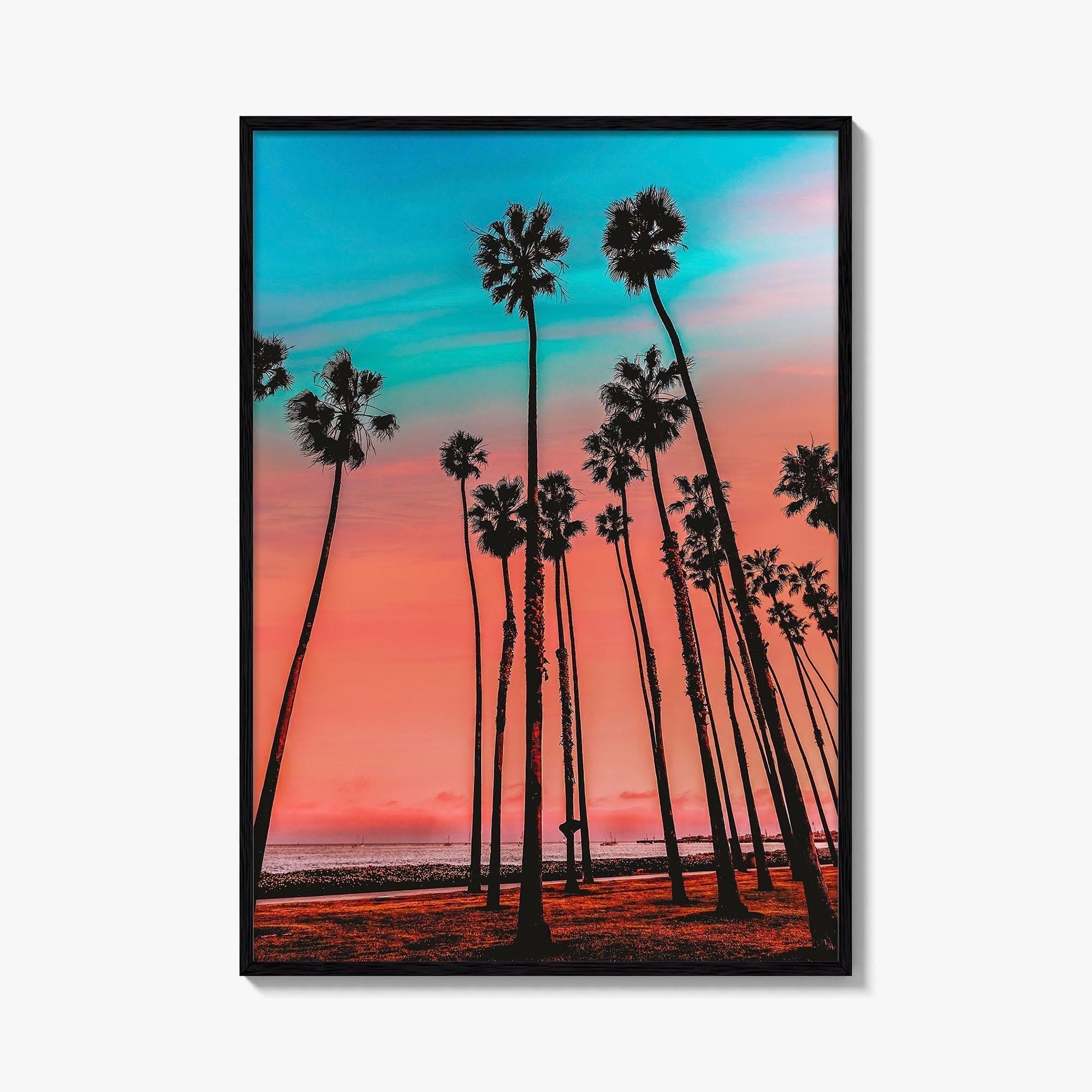 Santa Barbara Fine Art Photo Print, California Wall Decor Poster, USA Palm Trees