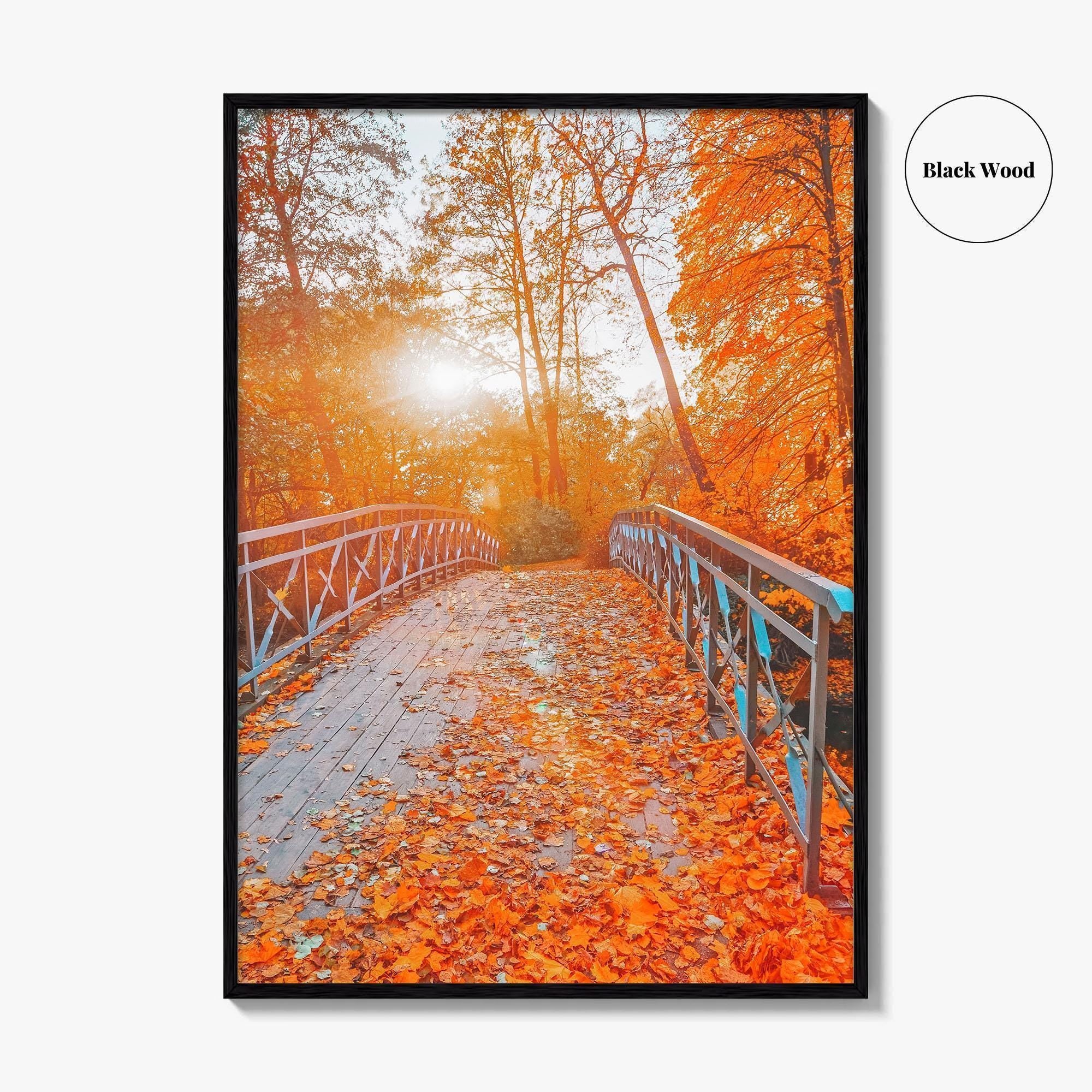 Central Park Fine Art Photo Print, New York, NYC, Bridge, Lake, Fall Foliage