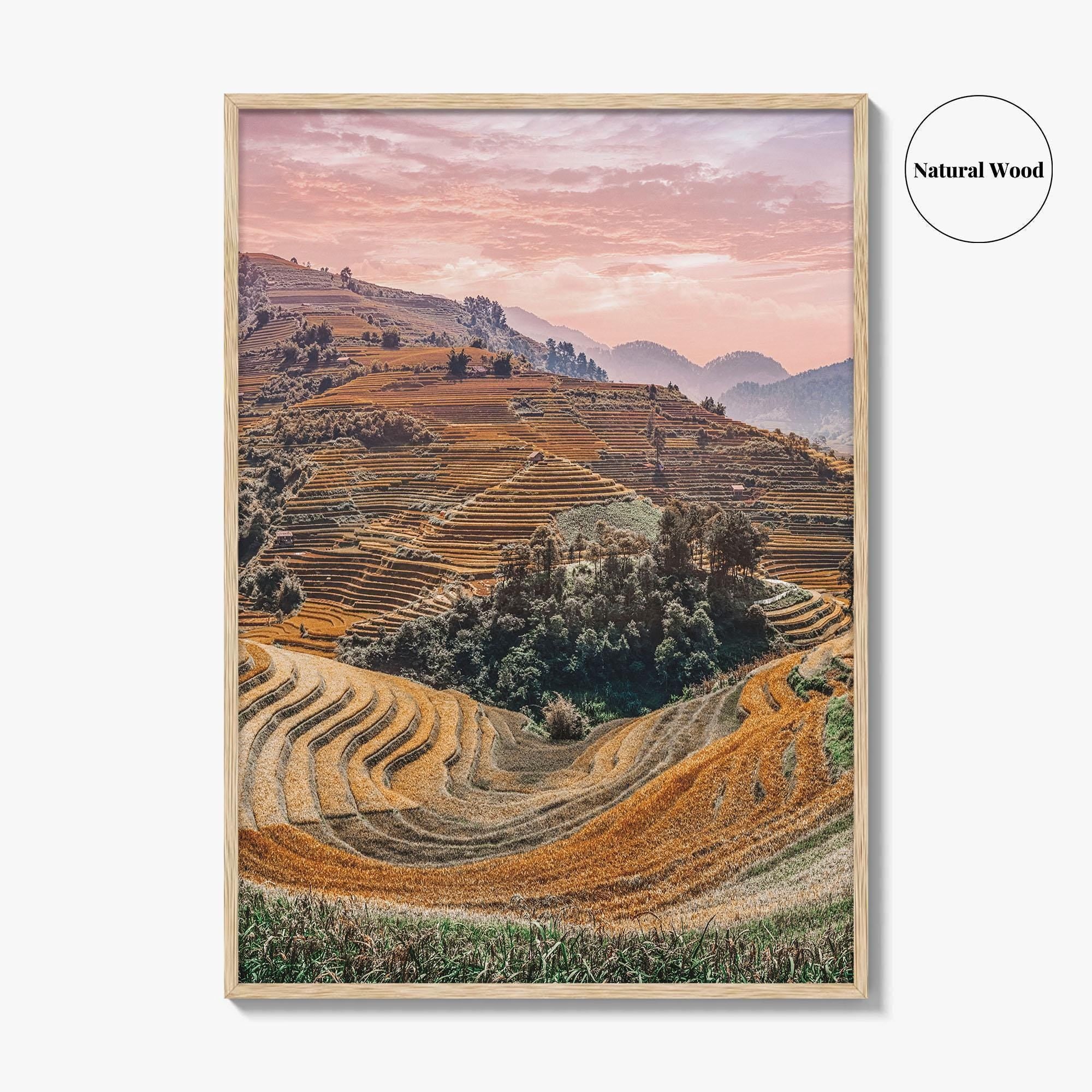 Mu Cang Chai Fine Art Photo Print, Yen Bai Vietnam Rice Terraces Wall Poster