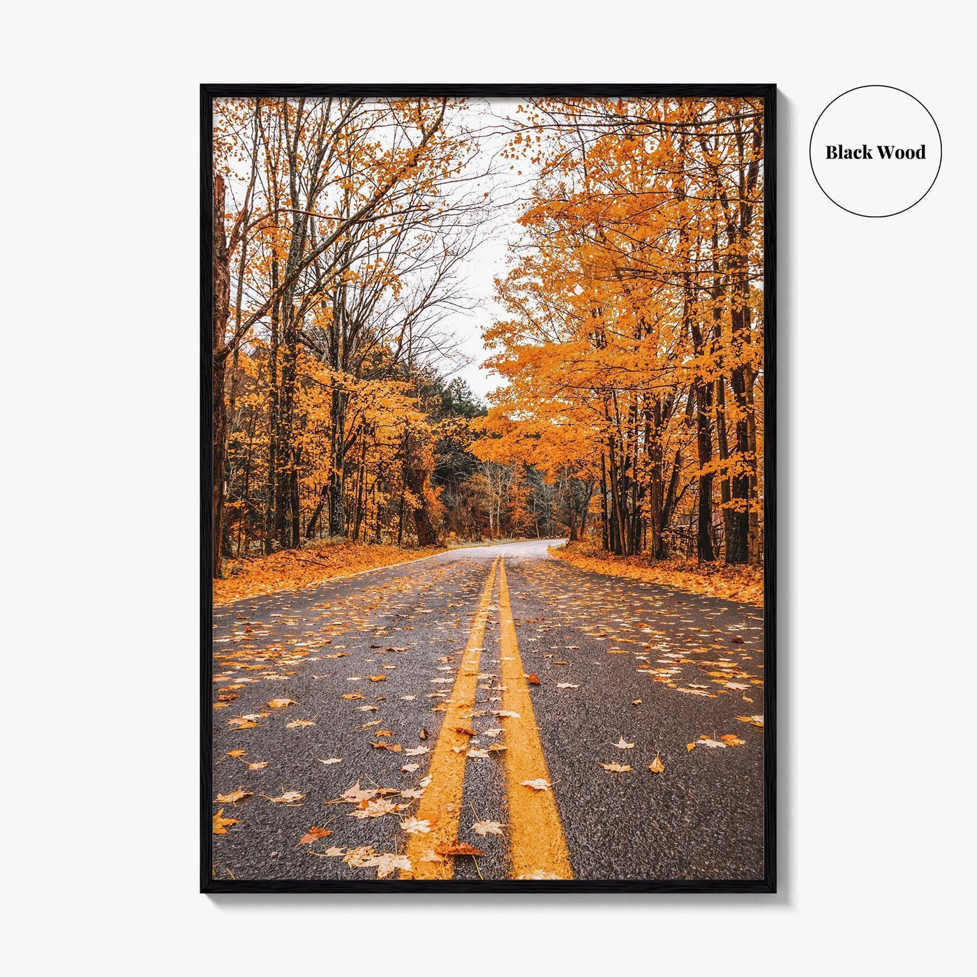 Catskill Mountains Fine Art Photo Print, Catskills, New York, Fall Foliage, Poster