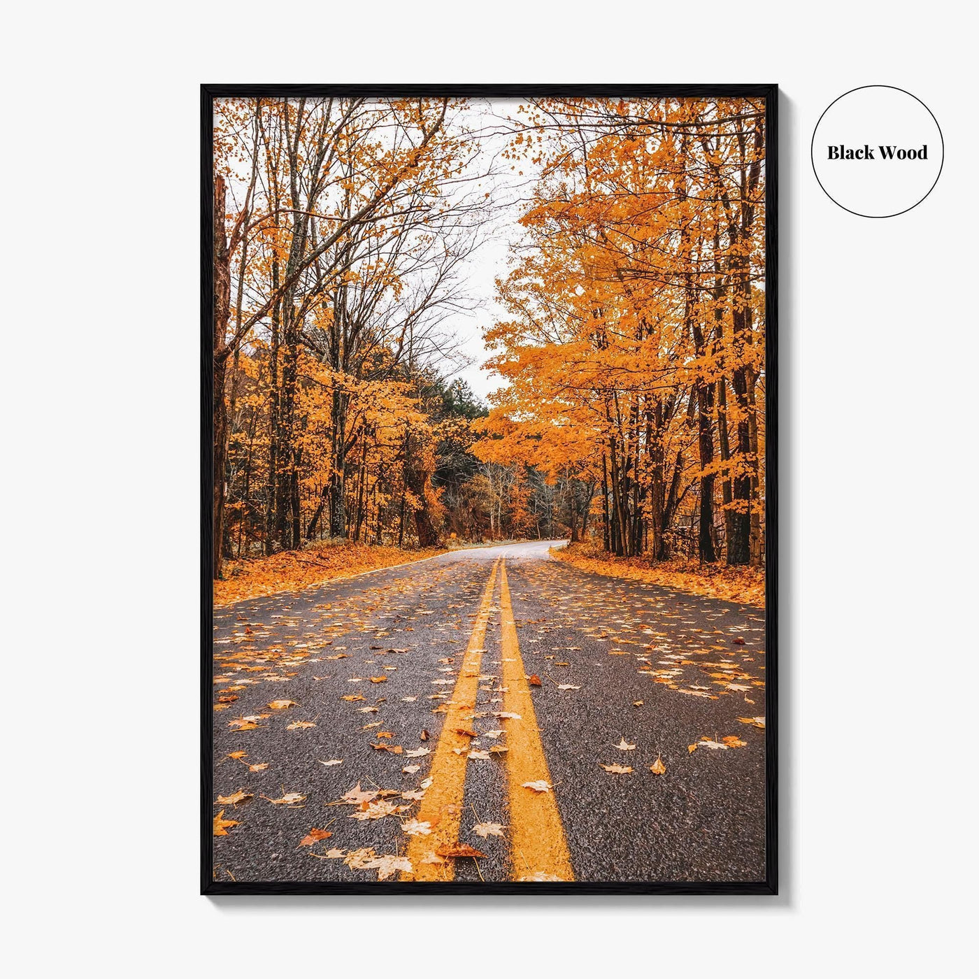 Catskill Mountains Fine Art Photo Print, Catskills, New York, Fall Foliage, Poster