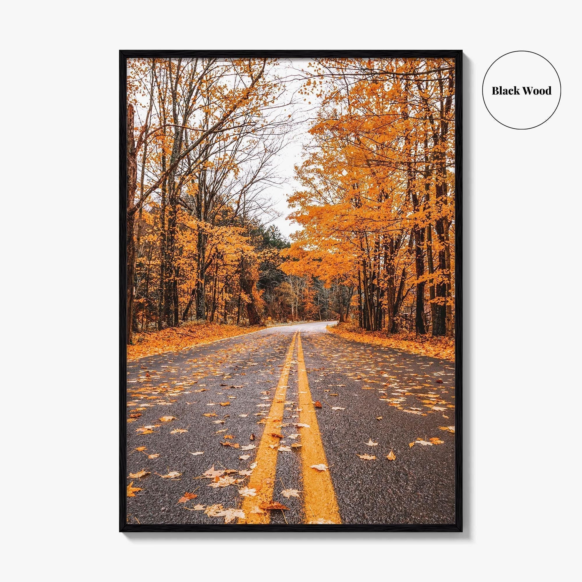 Catskill Mountains Fine Art Photo Print, Catskills, New York, Fall Foliage, Poster
