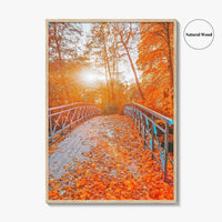 Central Park Fine Art Photo Print, New York, NYC, Bridge, Lake, Fall Foliage