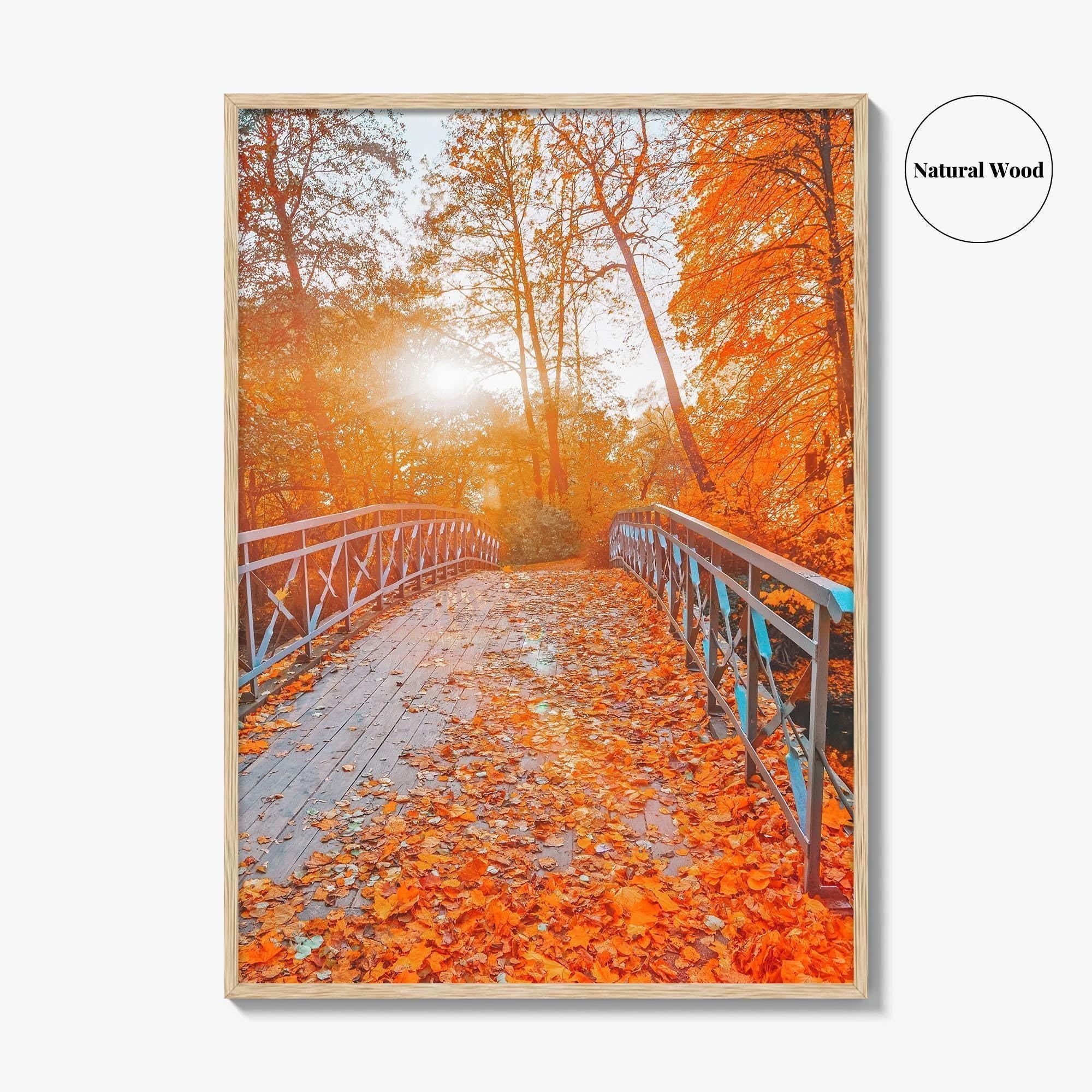 Central Park Fine Art Photo Print, New York, NYC, Bridge, Lake, Fall Foliage