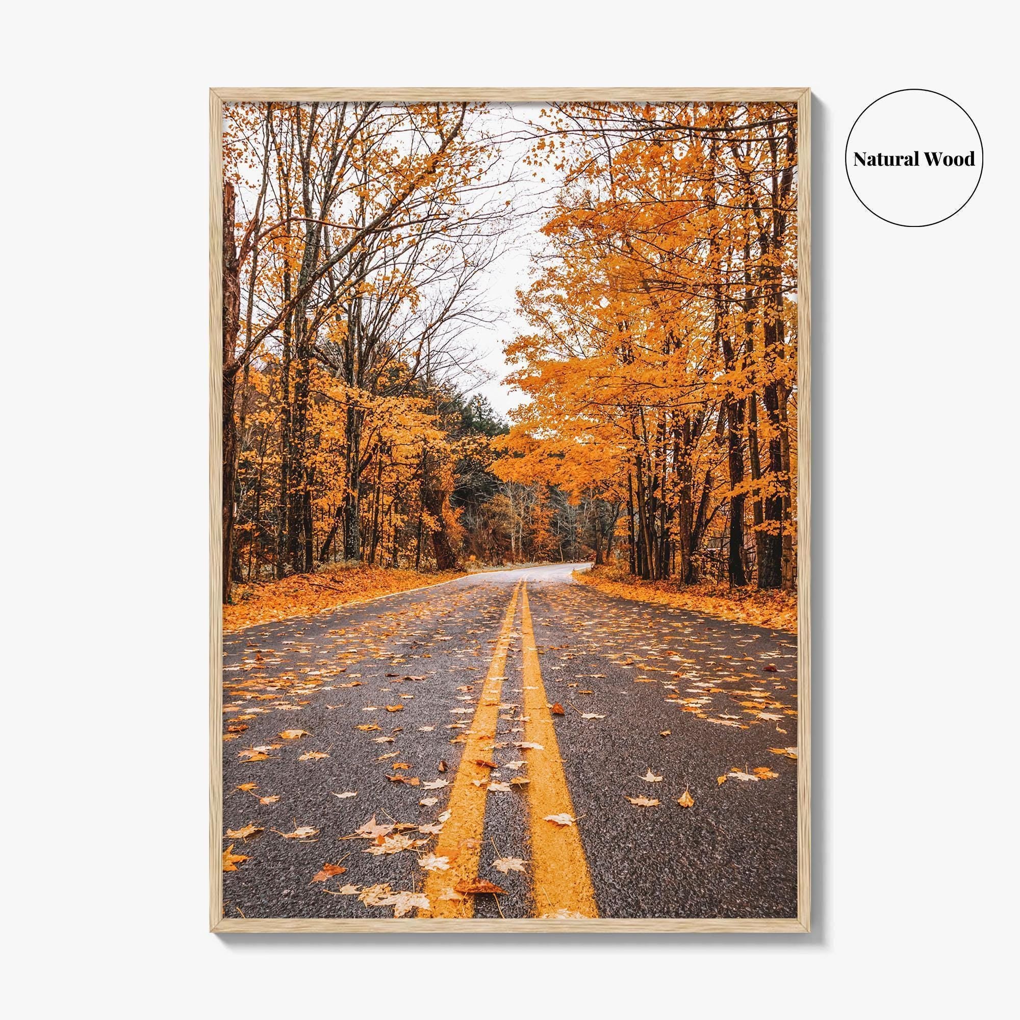 Catskill Mountains Fine Art Photo Print, Catskills, New York, Fall Foliage, Poster